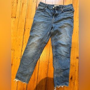 Everlane Curvy Cheeky Jean (size 10)